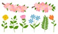 Spring plants flowers leaves vector illustration